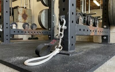 Best Home Gym Cable Handle Sets for Pulley Kits (2026) realistic product scene